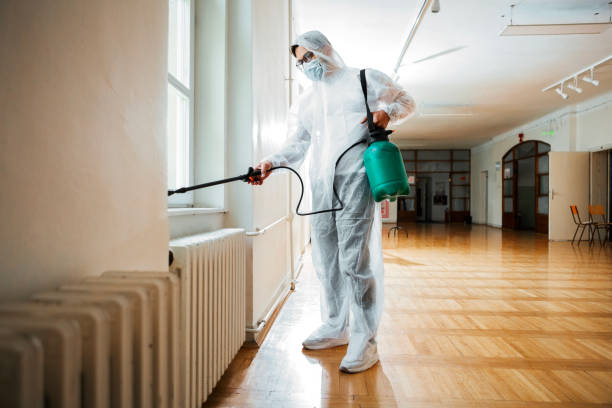 Best Pest Control Treatment  in Triangle, VA