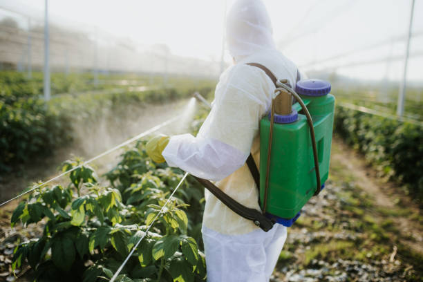 Best Pest Control for Businesses  in Triangle, VA